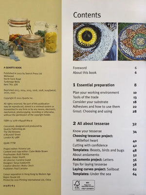 
                  
                    Compendium of Mosaic Techniques - Bonnie Fitzgerald Meisha Mosaics
                  
                