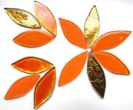 Tiger Lily Mix Meisha Mosaics